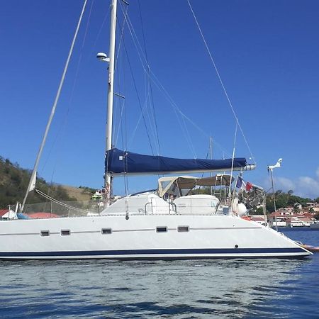 Catamaran Cypraea Hotel Terre-De-Haut Eksteriør billede