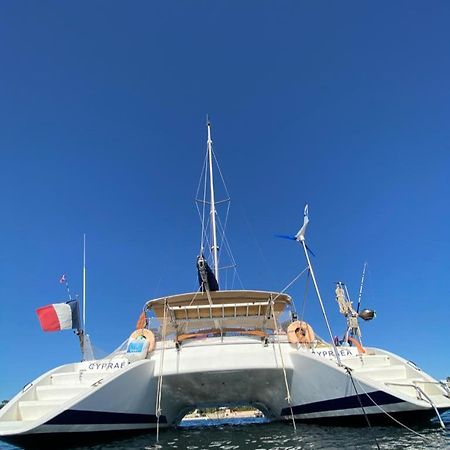 Catamaran Cypraea Hotel Terre-De-Haut Eksteriør billede