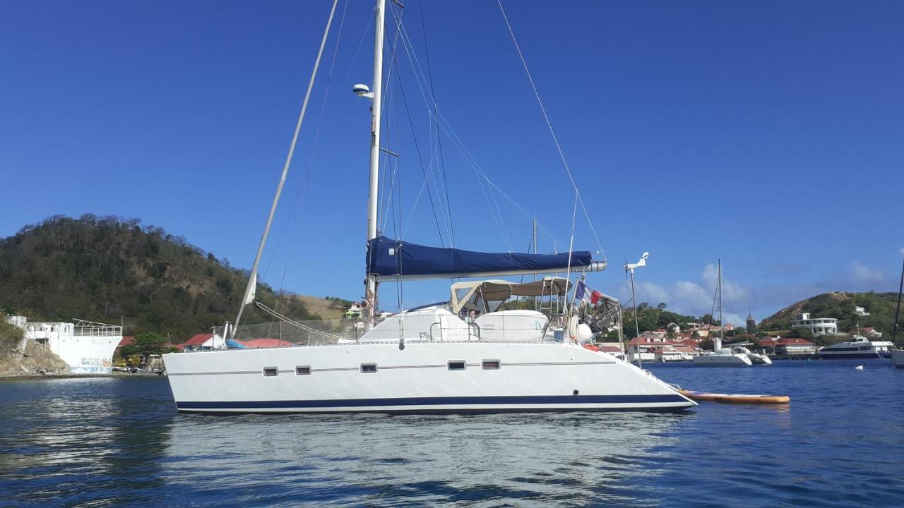 Catamaran Cypraea Hotel Terre-De-Haut Eksteriør billede
