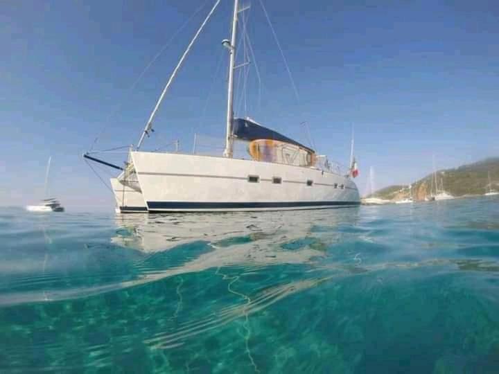 Catamaran Cypraea Hotel Terre-De-Haut Eksteriør billede
