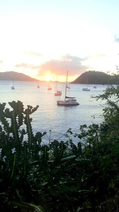 Catamaran Cypraea Hotel Terre-De-Haut Eksteriør billede