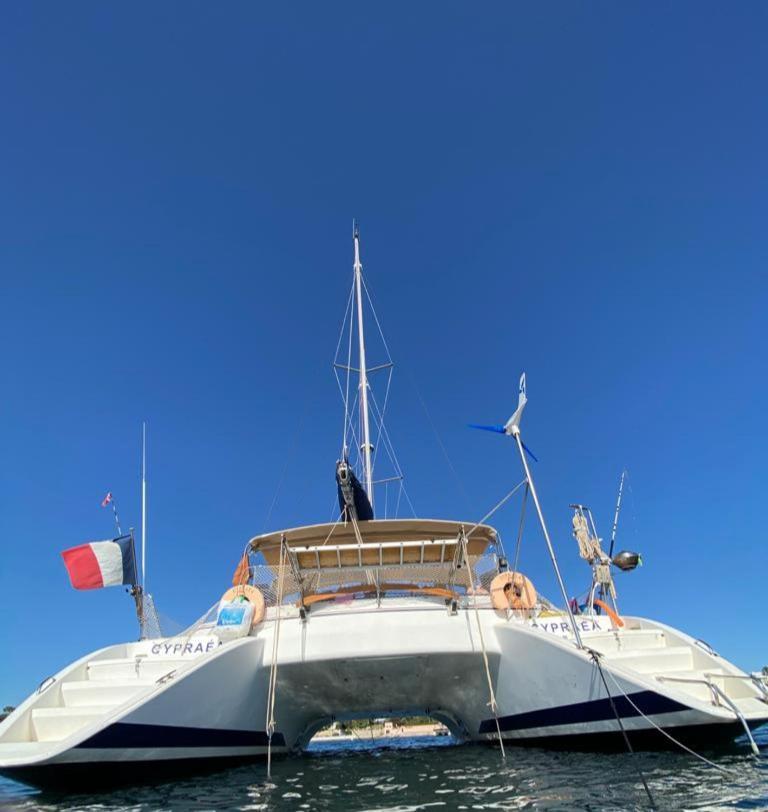 Catamaran Cypraea Hotel Terre-De-Haut Eksteriør billede
