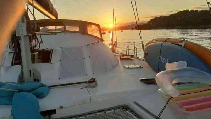 Catamaran Cypraea Hotel Terre-De-Haut Eksteriør billede